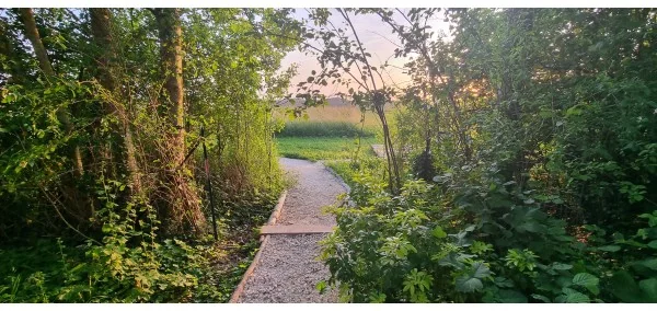 unusual night in ile de france : 9 person gite rental near Provins