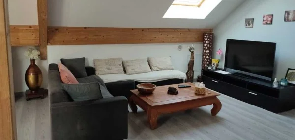 unusual night in ile de france : 9 person gite rental near Provins