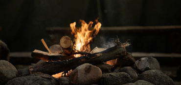 Wood for campfire at the pond