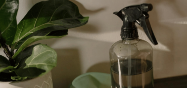 Cleaning service Gite