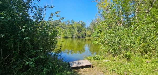 Location Tiny love au bord de l'eau à côté de Provins