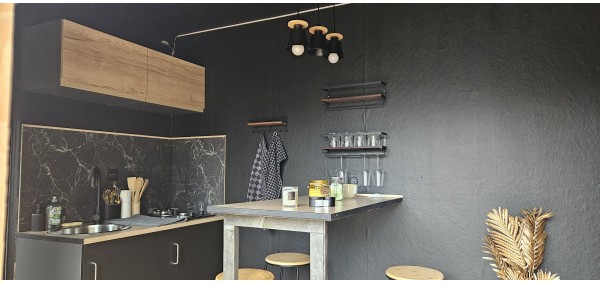 nuit insolite ile de france : Location Tiny love au bord de l'eau à...