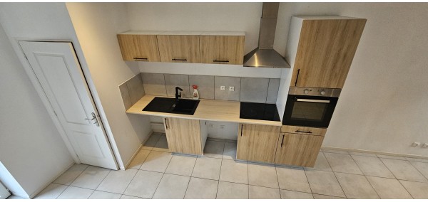 copy of Tinyhouse with all comfort