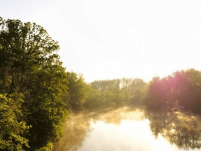 Les Temps Perchés : Un Éco-lieu Respectueux de la Nature